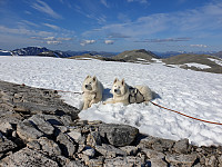 opps_20200826_5f46c72d99be7.jpg