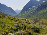 opps_20200828_5f4930d3c2598.jpg