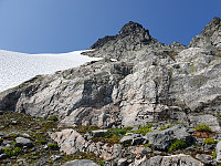 opps_20200828_5f49318ecf306.jpg