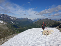 opps_20200828_5f495b5717bdd.jpg