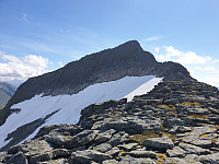 opps_20200828_5f495b63815df.jpg