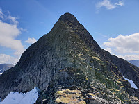 opps_20200828_5f495b9eb06cb.jpg