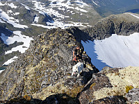 opps_20200828_5f495ba9d0bbb.jpg