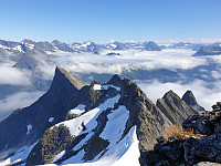opps_20200829_5f4a929d97df9.jpg