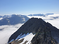 opps_20200829_5f4a92fcb83f1.jpg