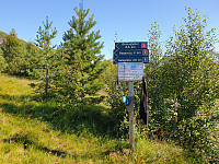 opps_20200910_5f59fcfebd3c1.jpg