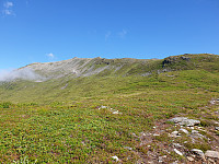 opps_20200910_5f59fd00df2a5.jpg