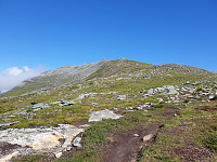 opps_20200910_5f59fd04c551f.jpg
