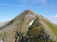 opps_20200910_5f59fd8704c7a.jpg
