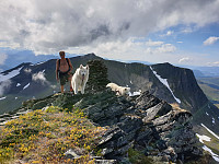 opps_20200910_5f59fd8c60054.jpg