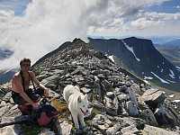opps_20200910_5f59fd90813e1.jpg