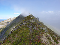 opps_20200910_5f59fdd018458.jpg
