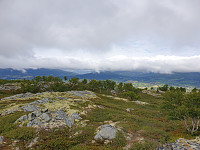 opps_20200910_5f59fec794c4c.jpg