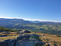 opps_20200910_5f59ffb531747.jpg