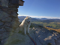 opps_20200910_5f59ffb852e9a.jpg