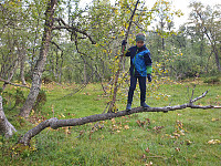 opps_20200910_5f5a001929466.jpg