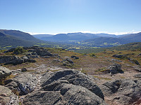 opps_20200910_5f5a018d4a254.jpg