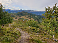 opps_20200910_5f5a023c4edcb.jpg