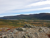 opps_20200910_5f5a0243a675f.jpg