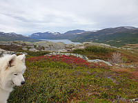 opps_20200910_5f5a0248518a7.jpg