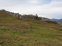 opps_20200910_5f5a024a648b7.jpg