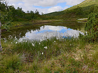 opps_20200910_5f5a04204b3f5.jpg