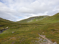 opps_20200910_5f5a0428f3234.jpg