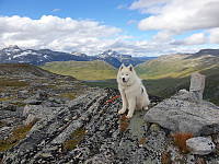 opps_20200910_5f5a043196110.jpg