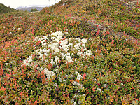 opps_20200911_5f5b95b40362c.jpg