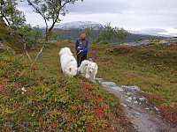 opps_20200911_5f5b95b5abd52.jpg