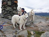opps_20200911_5f5b95b9083ba.jpg