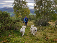 opps_20200920_5f67833b4d5f8.jpg