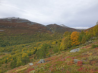 opps_20200920_5f67833db8648.jpg
