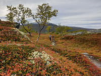 opps_20200920_5f67848457e4a.jpg