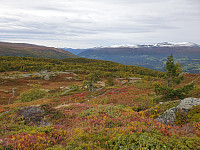 opps_20200920_5f678489b7389.jpg