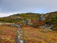opps_20200920_5f6785e0a8dcc.jpg