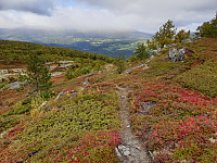 opps_20200920_5f6785e4333fa.jpg