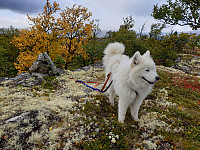 opps_20200920_5f6785e616f5e.jpg