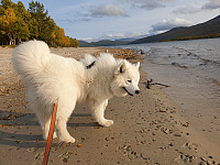 opps_20200920_5f6790816b7ec.jpg