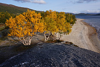 opps_20200920_5f67908368ef9.jpg