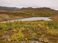 opps_20200920_5f67930a8d822.jpg