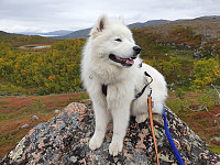 opps_20200920_5f67930c477da.jpg