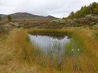 opps_20200920_5f67930fe8d07.jpg