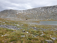 opps_20200920_5f67953fbd9cf.jpg