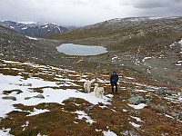opps_20200920_5f6795423103a.jpg