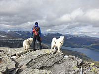 opps_20200920_5f67954a5a875.jpg