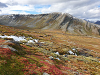 opps_20200920_5f67954c03d19.jpg
