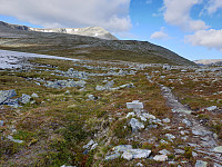 opps_20200920_5f679862575b0.jpg