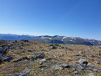 opps_20200920_5f679b1d44f0f.jpg