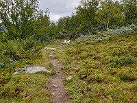 opps_20201007_5f7e05e050c92.jpg